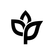 Logo Ankorstore Logo Ankorstore